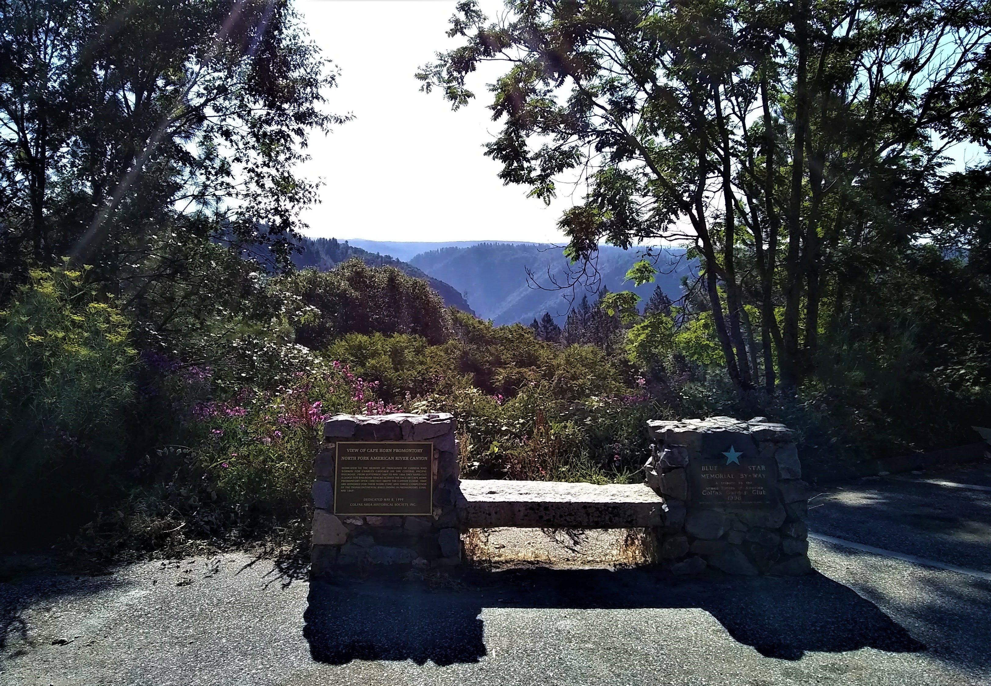 Plaque location after