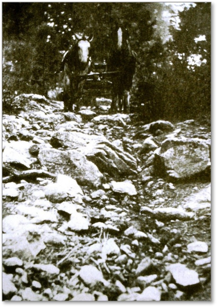 Photo of the Road to Drummond Mine from Succor Flat across Shirttail Creek. Photo was taken about 1910, Iowa Hill.